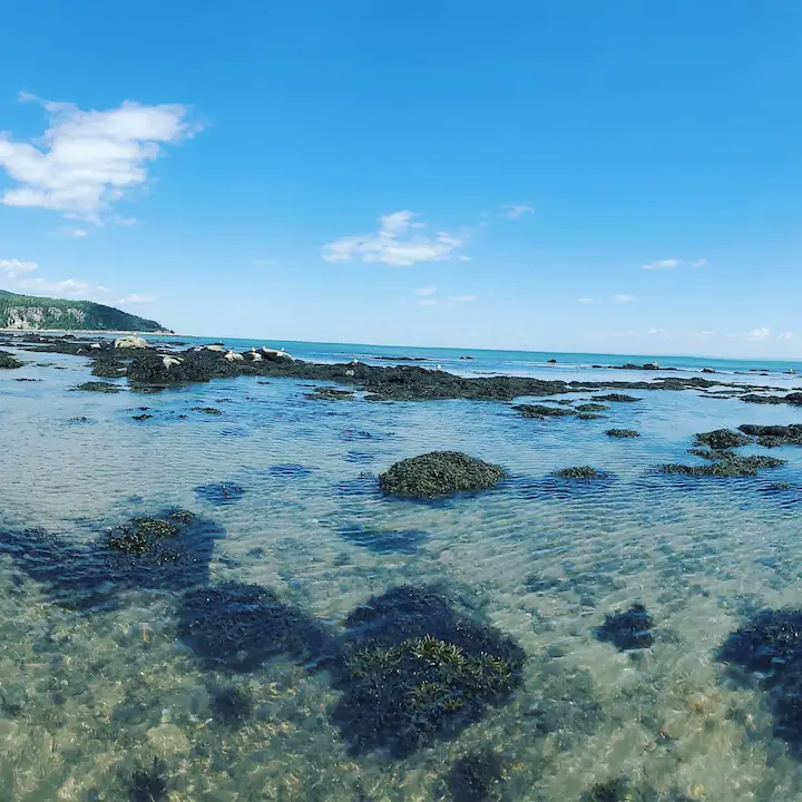 Plage